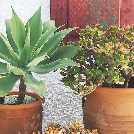 Hotel apartamentowy Asterias