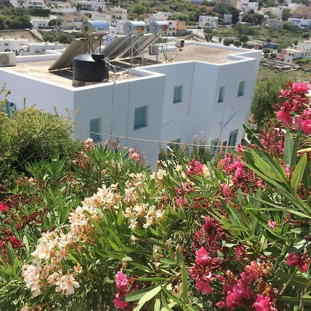 Asterias 3*
