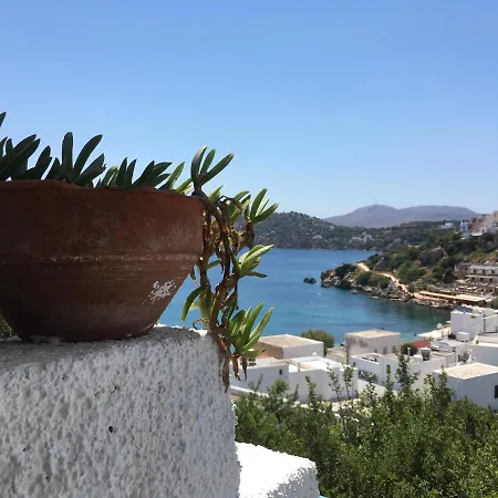 Asterias 3*