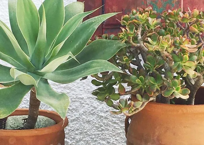 شقة فندقية Asterias