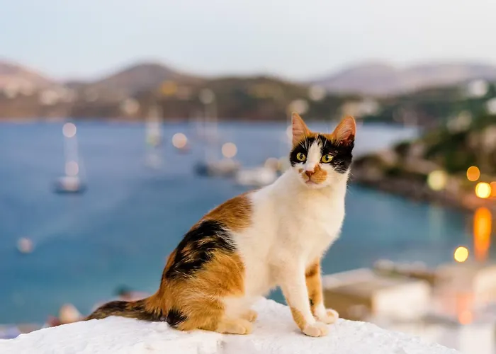 شقة فندقية Asterias 3*